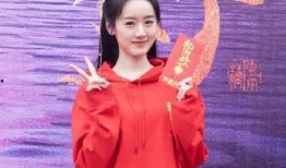 关于袁冰妍的爆料视频,娱乐圈背后的真相与争议